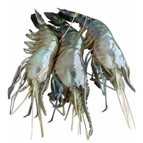 Chingri