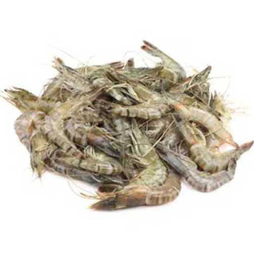 Chingri