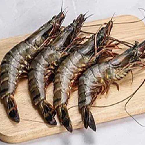 Chingri