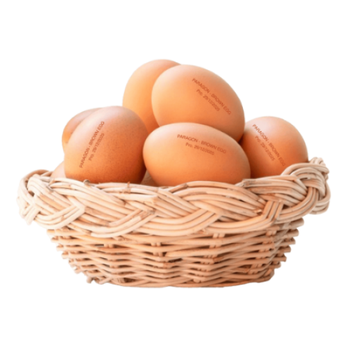 Egg