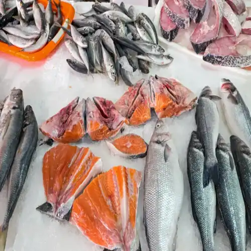 Sea Fish
