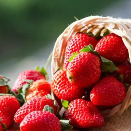 strawberry